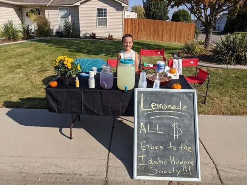idaho boy lemonade