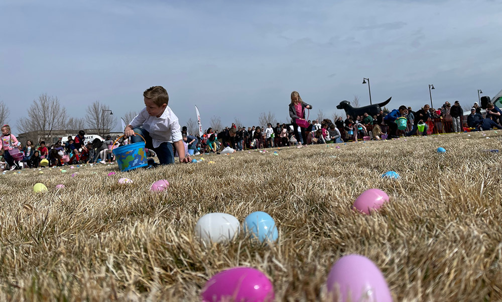 Over 25,000 eggs collected at annual Great Easter egg hunt - Vimarsana News