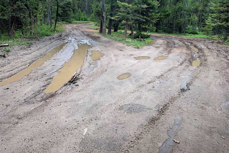 Forest Service asks you to 'recreate responsibly' and not tear up trails - Vimarsana News