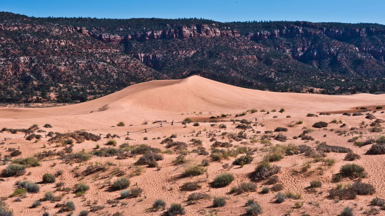 Boy dies after being buried under sand dune at Utah state park - Vimarsana News